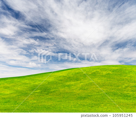 Landscape with green grass field under a blue sky 105951245