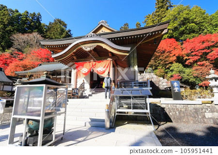 [香川縣] 四國聖地“第66號不動所”雲邊寺（國寶大殿）的秋葉 105951441