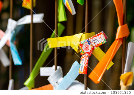 Kamakura City, Kanagawa Prefecture Tsurugaoka Hachiman Shrine Omikuji Kamakura City, Kanagawa Prefecture Tsurugaoka Hachiman Shrine Omikuji 105951530