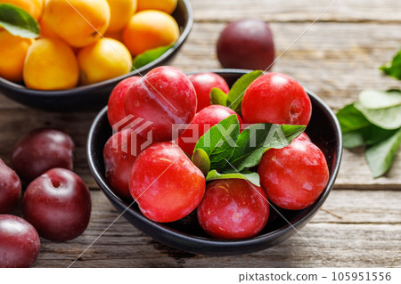 Colorful plums Colorful plums 105951556