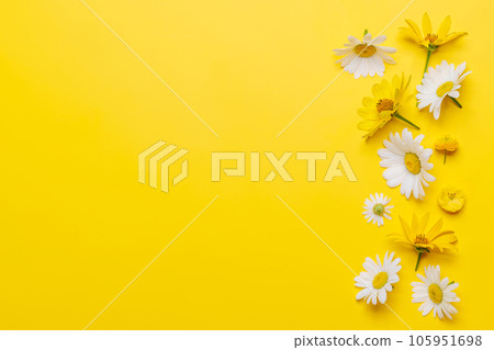 Assorted flowers on yellow backdrop 105951698