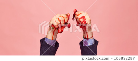 Male hands in classical clothes squeezing fresh berries against pink background. Vitamin smoothie Male hands in classical clothes squeezing fresh berries against pink background. Vitamin smoothie 105952297
