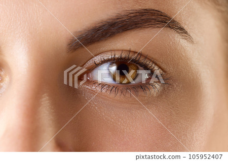 Brown eyes. Close up portrait of beautiful young girl looking at camera. Natural looking lashes and eyebrows. Brown eyes. Close up portrait of beautiful young girl looking at camera. Natural looking lashes and eyebrows. 105952407