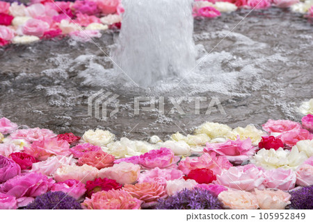 漂浮洗花水 洗花水 漂浮洗花水 洗花水 105952849