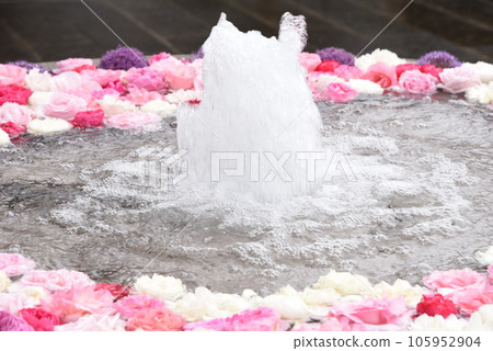 Floating flower wash water Flower wash water 105952904