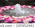 Floating flower wash water Flower wash water 105952941