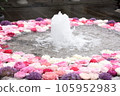 Floating flower wash water Flower wash water 105952983
