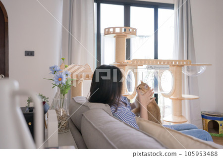 pet lover concept by asian woman she work and play with her cat pet lover concept by asian woman she work and play with her cat 105953488