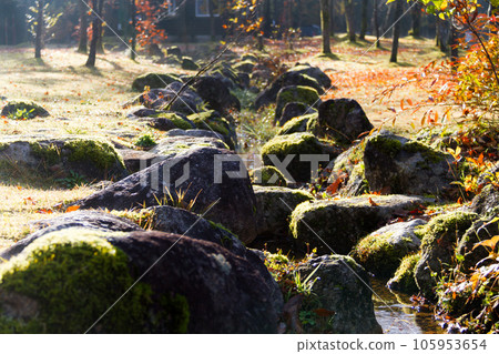 Mossy rocks and stream 105953654