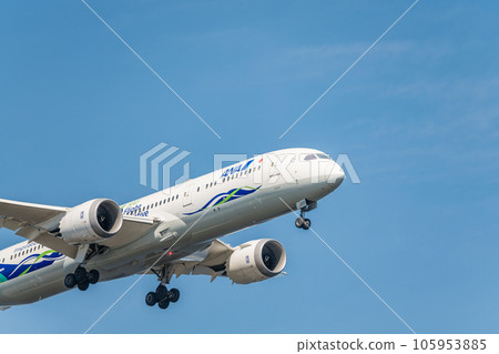 [ANA aircraft green jet ready to land from the sky above Jonanjima Seaside Park] 105953885