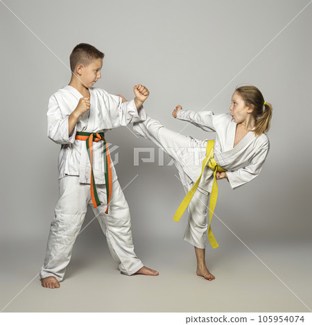 kids practise martial arts 105954074