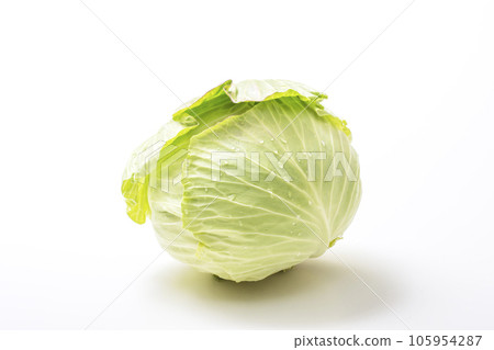 新鮮捲心菜、淺色蔬菜、新鮮收穫的蔬菜、健康蔬菜、葉菜類蔬菜 105954287