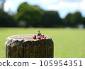 Elderly couple outdoors Elderly couple outdoors 105954351