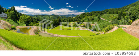 《新潟縣》夏天的梯田和里山風景 《新潟縣》夏天的梯田和里山風景 105954598