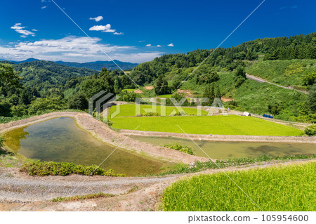 << Niigata Prefecture >> Landscape of terraced rice fields and satoyama in summer 105954600