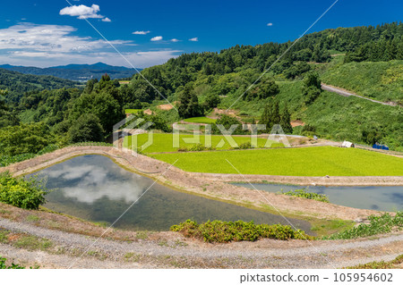 << Niigata Prefecture >> Landscape of terraced rice fields and satoyama in summer << Niigata Prefecture >> Landscape of terraced rice fields and satoyama in summer 105954602