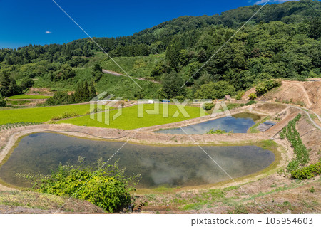 《新潟縣》夏天的梯田和里山風景 《新潟縣》夏天的梯田和里山風景 105954603