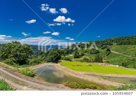 << Niigata Prefecture >> Landscape of terraced rice fields and satoyama in summer 105954607