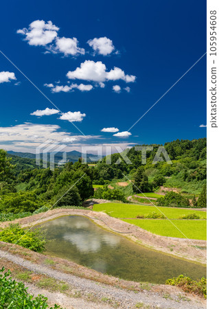 << Niigata Prefecture >> Landscape of terraced rice fields and satoyama in summer 105954608