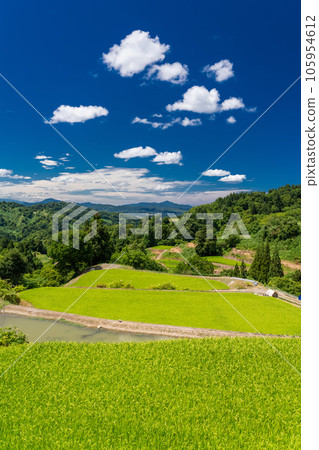 << Niigata Prefecture >> Landscape of terraced rice fields and satoyama in summer << Niigata Prefecture >> Landscape of terraced rice fields and satoyama in summer 105954612