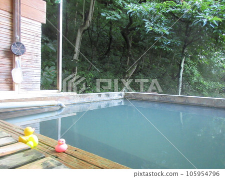 A secluded small open-air bath 2 hidden in the forest A secluded small open-air bath 2 hidden in the forest 105954796