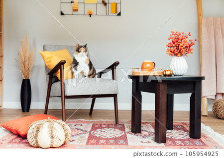 Stylish Scandinavian interior of living room with modern armchair with sitting relaxed cat pet, coffee table, natural autumn decor,stairs with plaid. Cozy home interior design with fall mood. 105954925