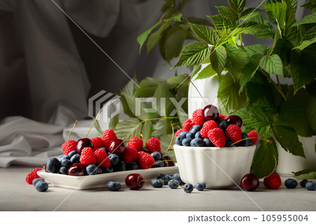 Colorful assorted mix of blueberries, raspberries, and sweet cherries. 105955004