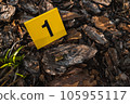 One yellow crime scene evidence marker on the ground after a gun shooting brass bullet shell casing 9mm handgun pistol 105955117