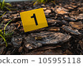One yellow crime scene evidence marker on the ground after a gun shooting brass bullet shell casing 9mm handgun pistol 105955118