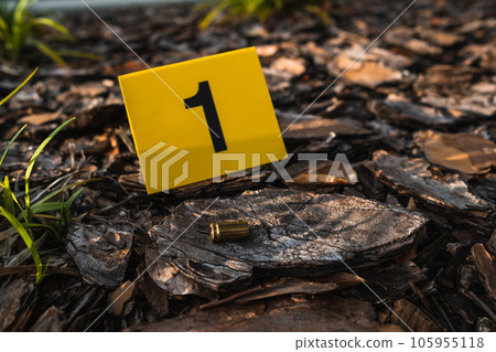 One yellow crime scene evidence marker on the ground after a gun shooting brass bullet shell casing 9mm handgun pistol One yellow crime scene evidence marker on the ground after a gun shooting brass bullet shell casing 9mm handgun pistol 105955118