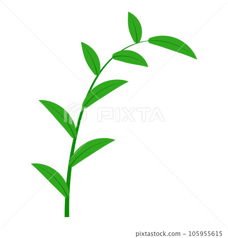Twig with green leaves symbol spring and growth, plant branch 105955615