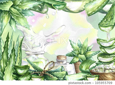 Frame with aloe. Cosmetic and healing aloe vera gel. Watercolor hand drawn illustration. For labels and packaging of cosmetology, perfumery and medicine. For stickers, prints, flyers and posters. 105955709