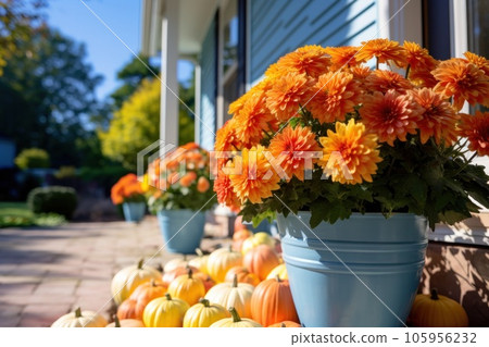 Front door with fall decor, pumpkins and autumn themed decorations Front door with fall decor, pumpkins and autumn themed decorations 105956232