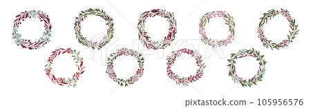 Berry Twig and Branches Round Wreath and Frame Vector Set Berry Twig and Branches Round Wreath and Frame Vector Set 105956576
