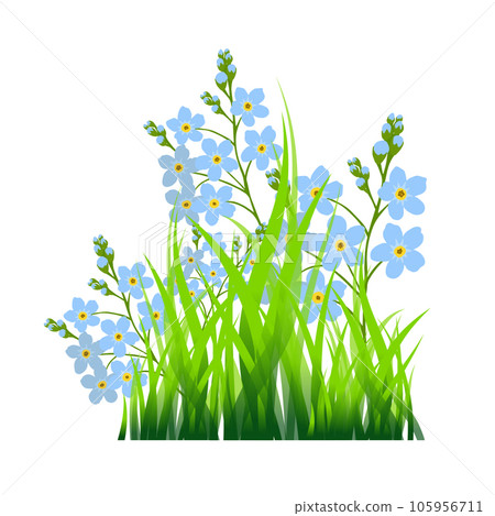 The object is green grass and forget-me-not flowers. Vector illustration 105956711