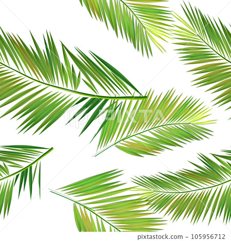 Palm leaves seamless pattern on white background. Vector background 105956712