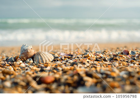 Sea shells with sand beach. Spring photography of seashells on the beach with turquoise sea backdrop and free space for your decoration or text. selective focus. Sea shells with sand beach. Spring photography of seashells on the beach with turquoise sea backdrop and free space for your decoration or text. selective focus. 105956798