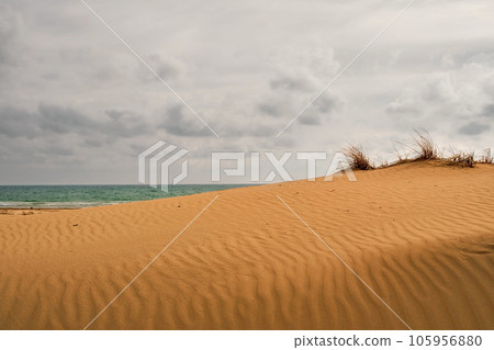 Dunes beach, sand background. Blurred sea with cloudy sky in the clouds. Sand background free space for your decoration. 105956880