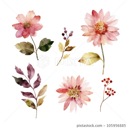 set of watercolor illustrations of pink flowers and plants . 105956885