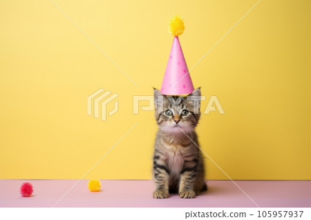 Birthday cat on yellow background 105957937