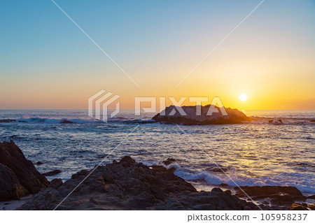 Silhouette bird with sunset and sea Silhouette bird with sunset and sea 105958237