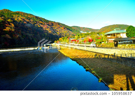 Kyoto's representative tourist destination Arashiyama in autumn 105958637