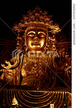 佛教寺廟菩薩的形象（東大寺/佛寺/奈良市奈良市奈良縣） 105958802