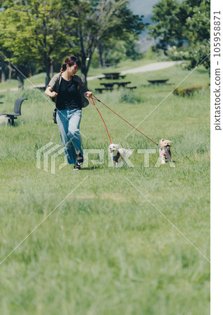 photo of running with dog 105958871