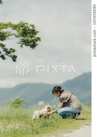 woman playing with her dog 105958890