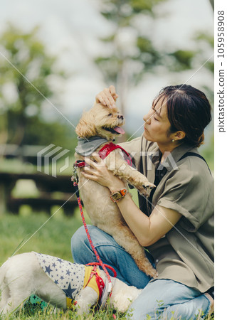 女人和她的狗玩耍 105958908