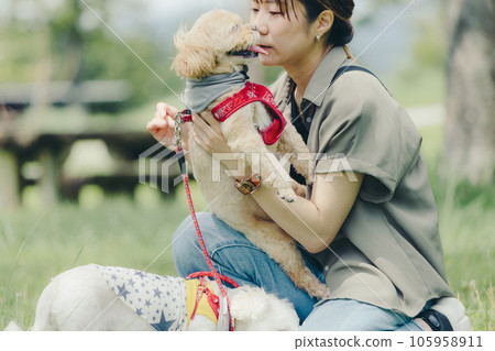 女人和她的狗玩耍 105958911