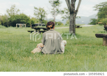 女人和她的狗玩耍 105958921