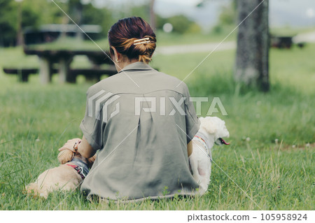 woman playing with her dog 105958924