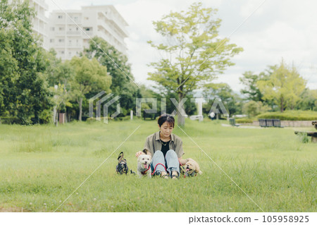 woman playing with her dog 105958925